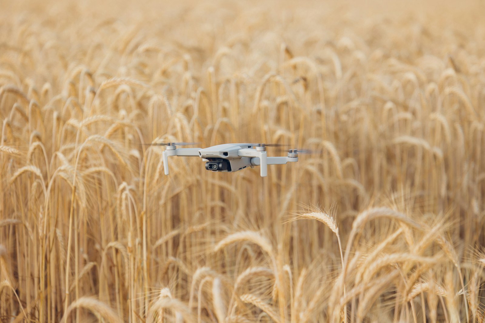 Agriculture drone above a field